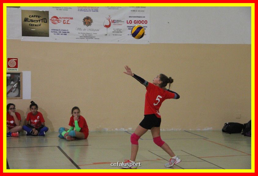 181121 volley 101_tn.JPG